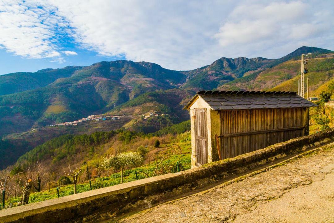 빌라레알 "Casa Da Russa" Mountain Experience 게스트하우스 외부 사진