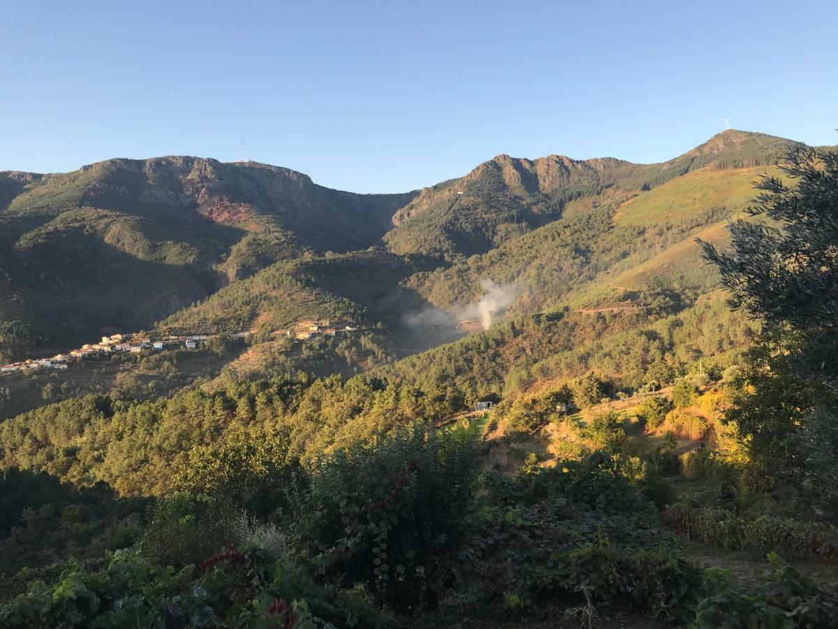 빌라레알 "Casa Da Russa" Mountain Experience 게스트하우스 외부 사진