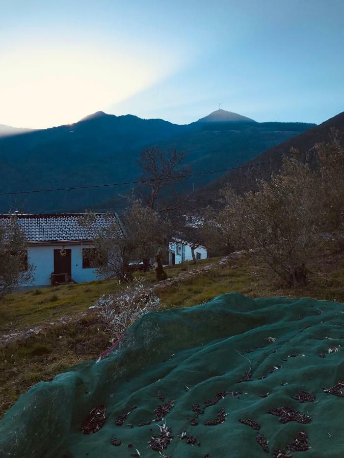 빌라레알 "Casa Da Russa" Mountain Experience 게스트하우스 외부 사진